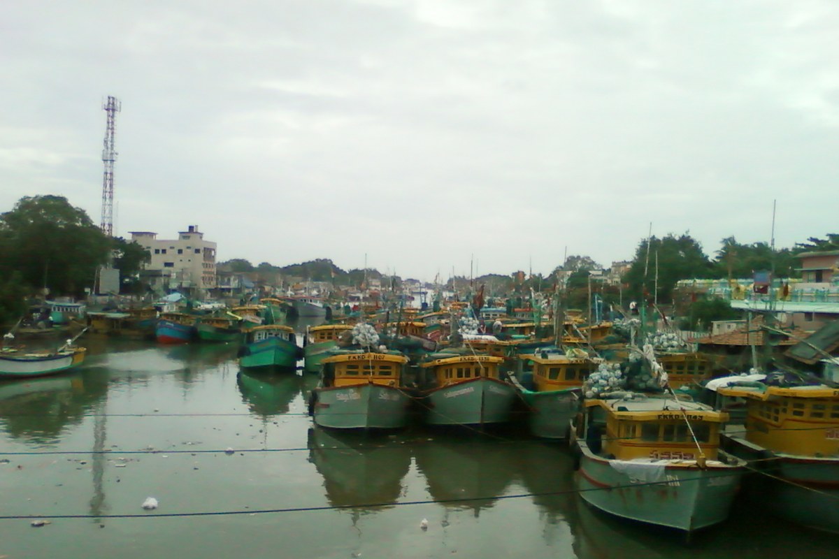 Rows of yellow and green wooden fishing boats moored close together in the water at Kakinada fishing harbour under a grey, overcast sky.