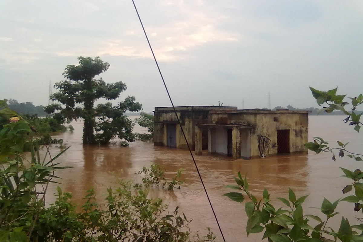 Brown floodwater surrounding a half-submerged single-storey building and trees in Odisha.
