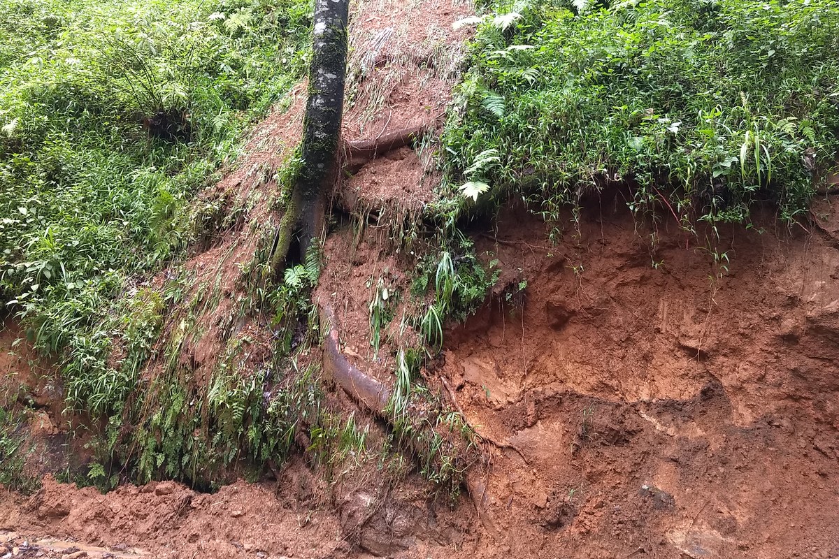 A roadside cut slope of red soil that has slipped onto the edge of a road, with a mossy tree and ferns on the slope.
